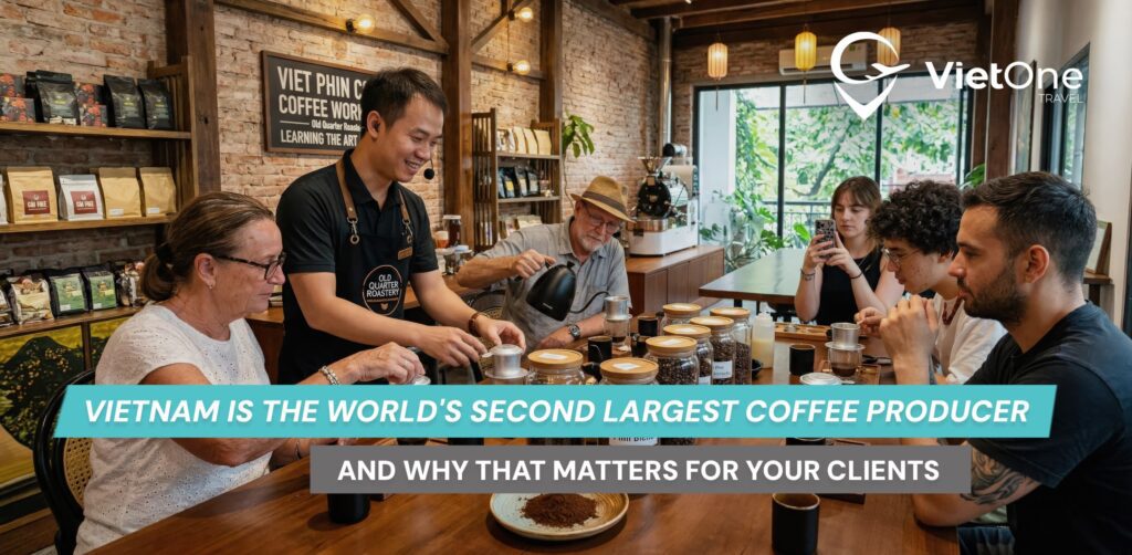 Почему Вьетнам является вторым крупнейшим производителем кофе в мире — и что это значит для ваших клиентов 4 Article 125