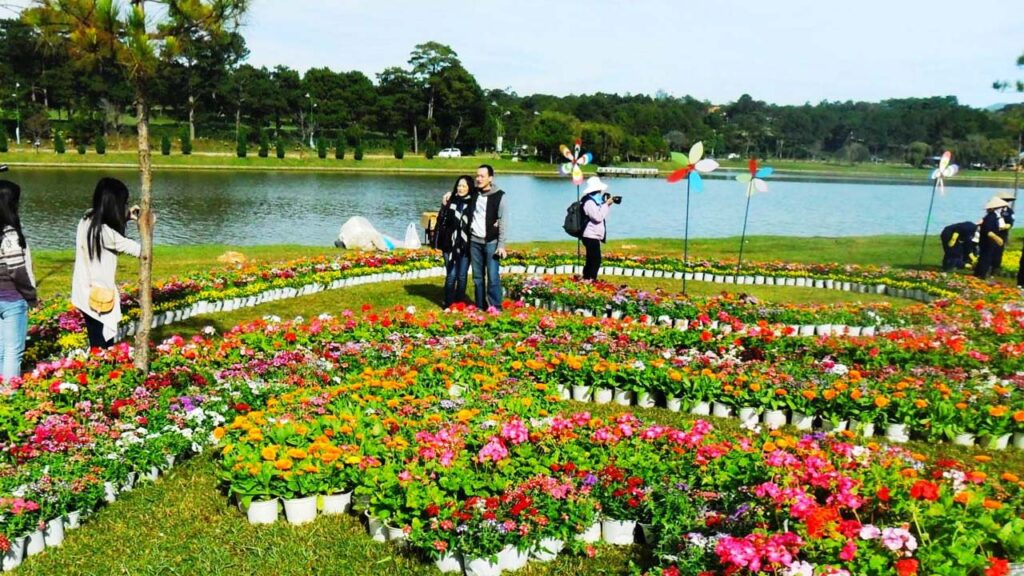 hoi cho hoa tet da lat