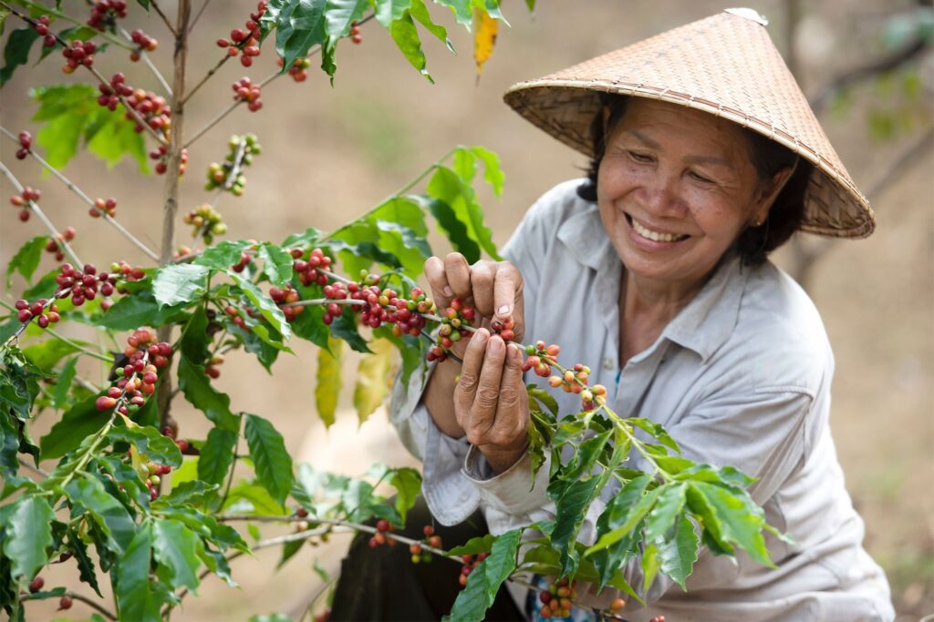 z3848887033628 4c150875ada9b0e962add58731e4c9f1