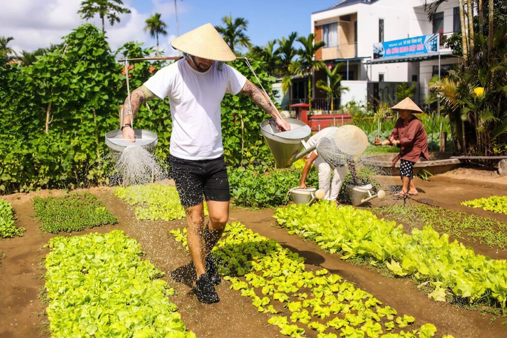 Travel Deeper: 5 Authentic Cultural Experiences You Must Try in Vietnam This Year 1 Authentic cultural experiences in Vietnam rice farming tour