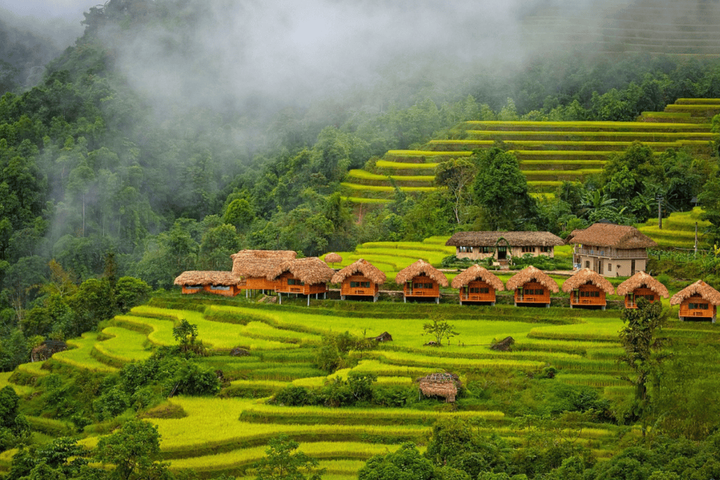 Vietnam's New Map: Why the Province in Your Brochure No Longer Exists 6 kinh nghiem du lich ha giang 1