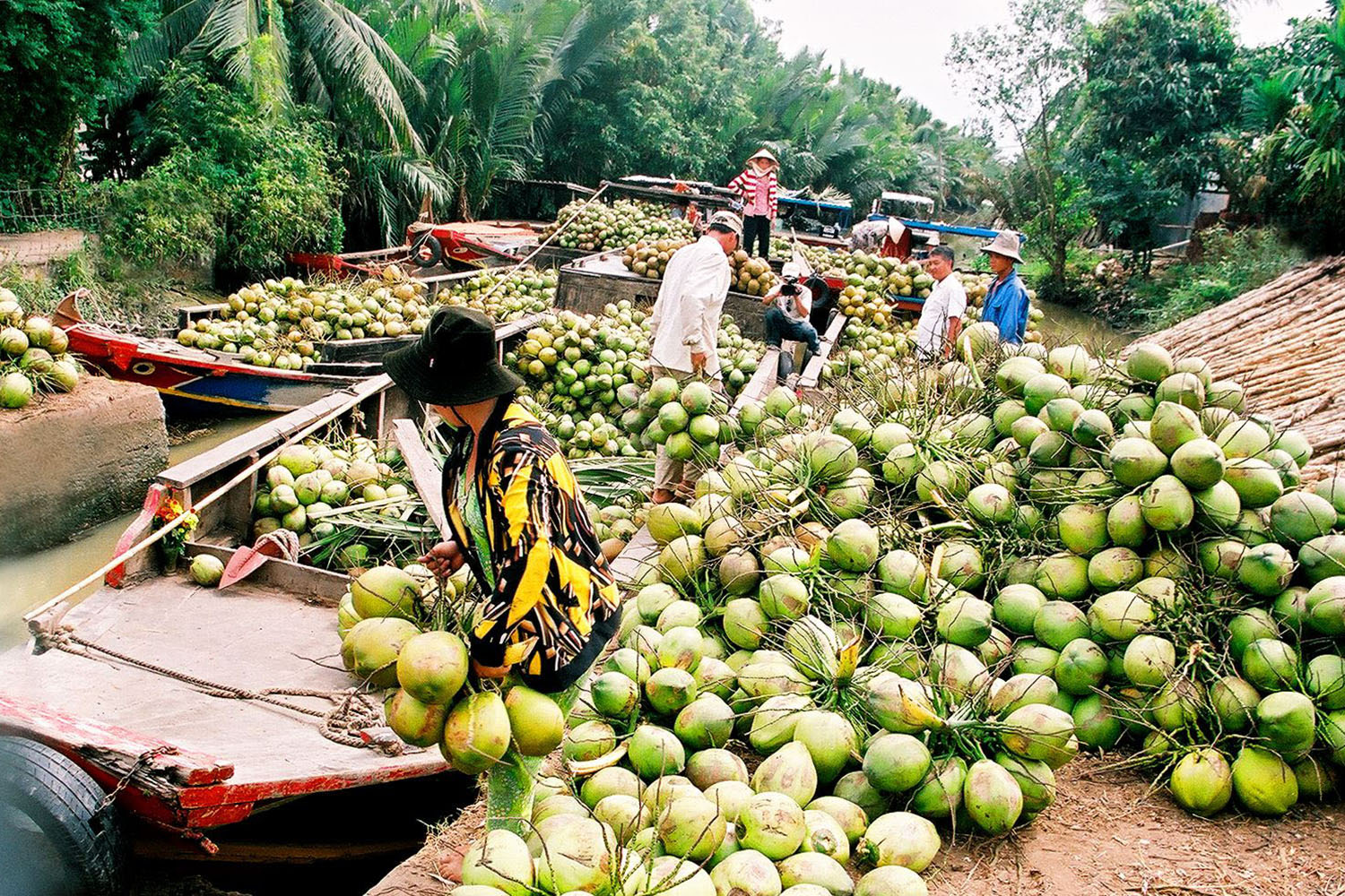 An Binh & Can Tho Exploration (2 days) 6 cu lao tam hiep 001