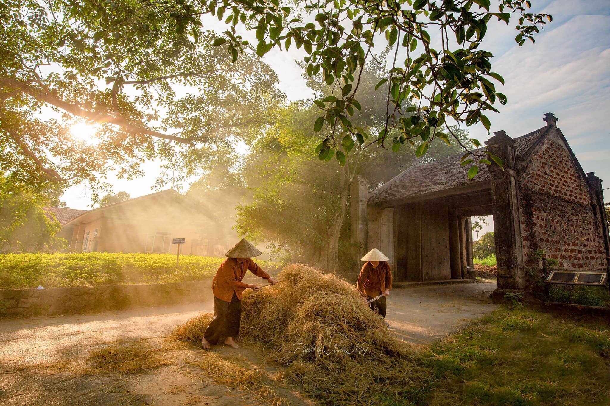 duong lam ancient village thumb optimized 1