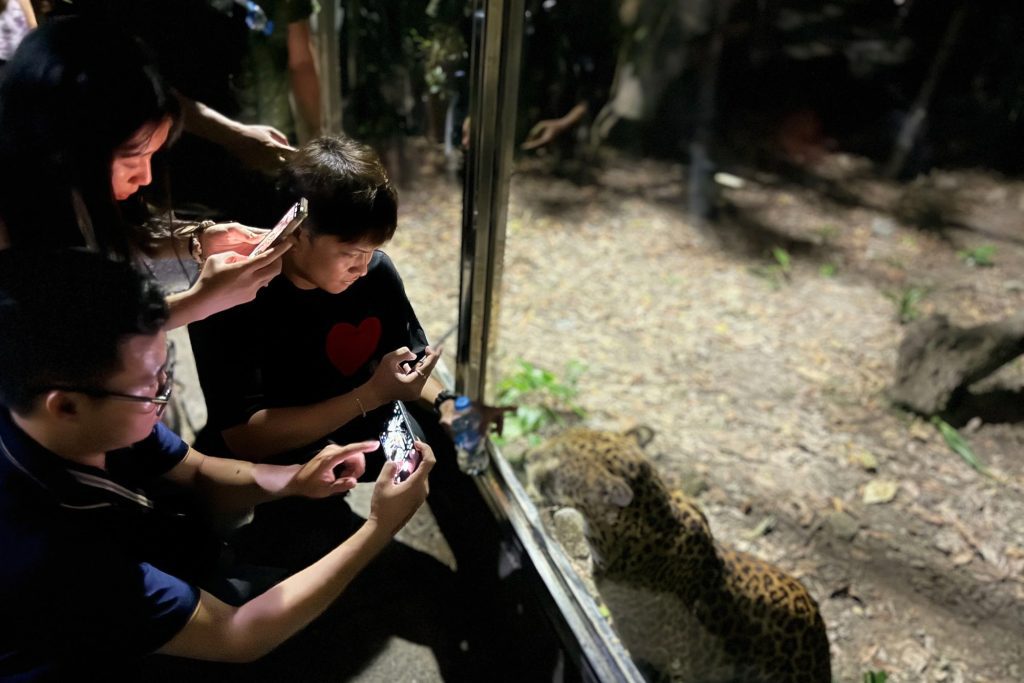 Saigon Zoo comes alive after dark: a new night adventure in Ho Chi Minh City 1 Zoo1