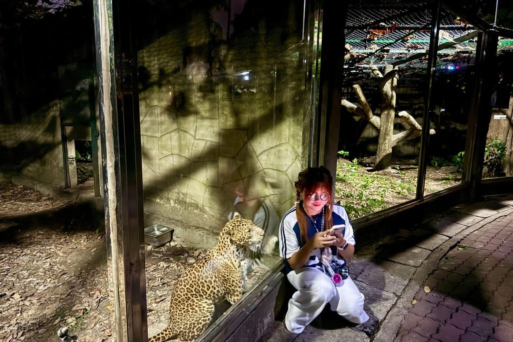 Saigon Zoo comes alive after dark: a new night adventure in Ho Chi Minh City 2 Zoo2