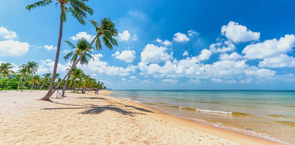Summer Vibes in Vietnam: Holiday-Makers Go Green and Cultural – And We're Loving It! 3 Article 53bg