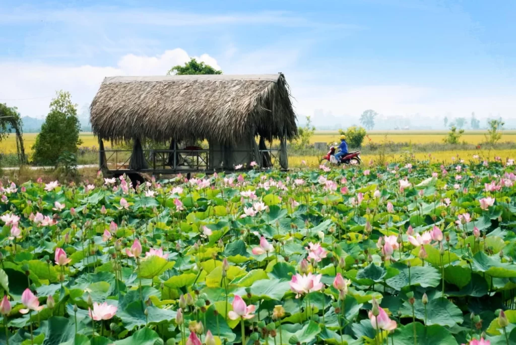 Weaving Threads of Time: Vietnam's Arts and Crafts Villages – A Timeless Treasure Trove for Your Clients 21 senT jpeg 4319 1702147840.jpg