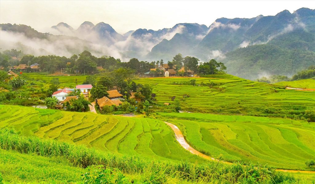 Vietnam’s Wild Heart: Unforgettable Nature Adventures 2 Anh 1 2 3