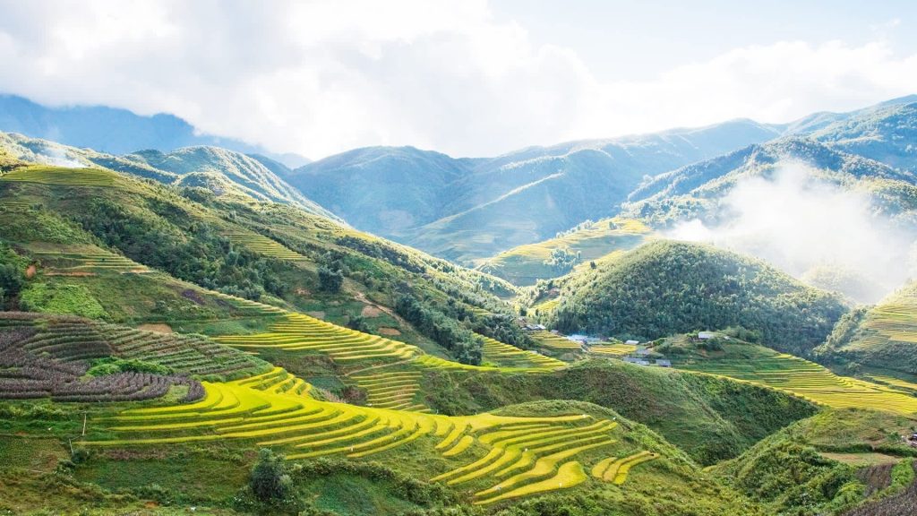Exploring Vietnam's Diverse Landscapes Through VietOne Travel's Curated Experiences 2 nab4excv9bkndhqnsyvl