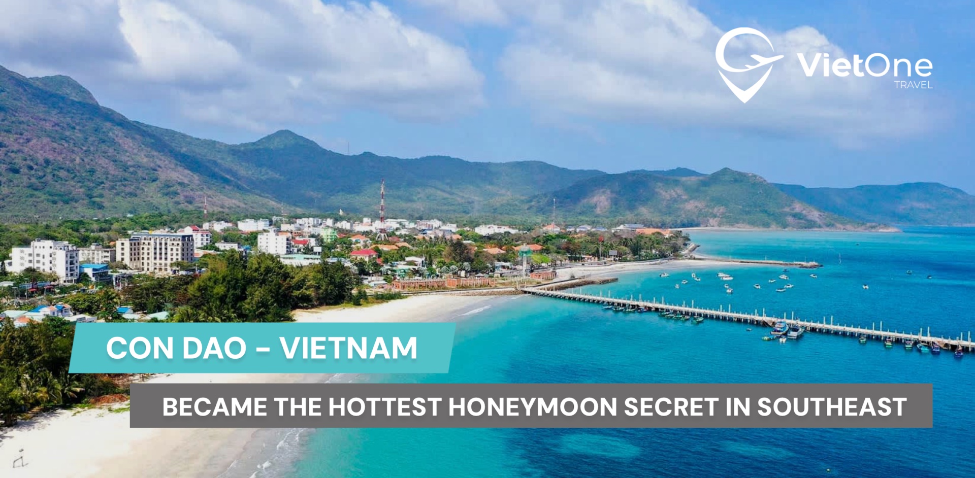 HOMEPAGE 27 Article 114