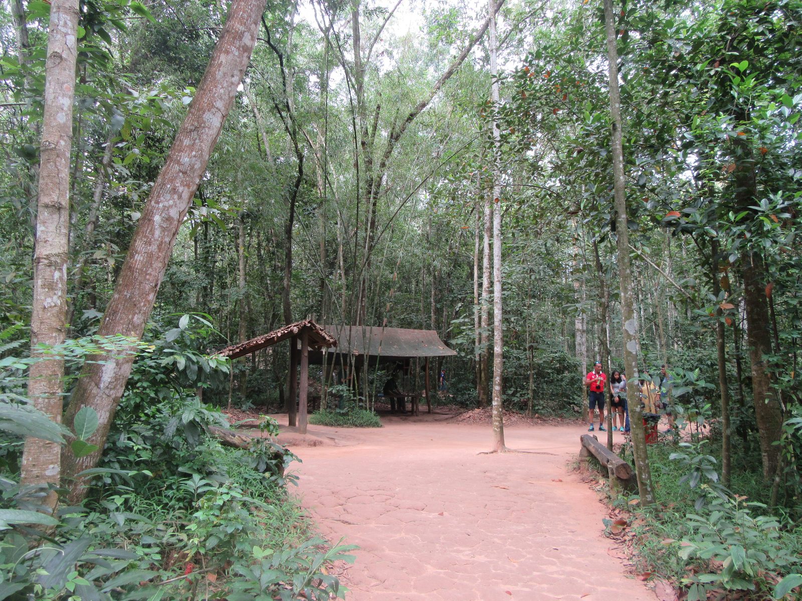 Cu Chi Tunnels 2027: How to Visit, Tickets, Ben Dinh vs Ben Duoc and What to Expect 1 Forest path through the Cu Chi Tunnels site