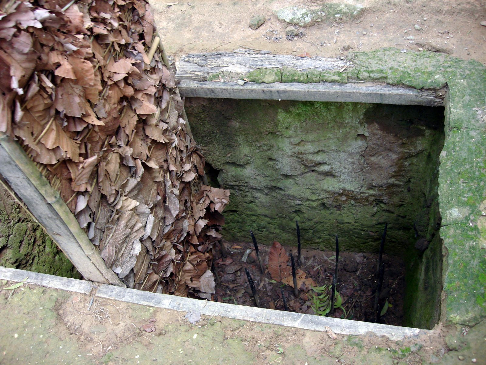 Cu Chi Tunnels 2027: How to Visit, Tickets, Ben Dinh vs Ben Duoc and What to Expect 5 Bamboo spike trap displayed at the Cu Chi Tunnels