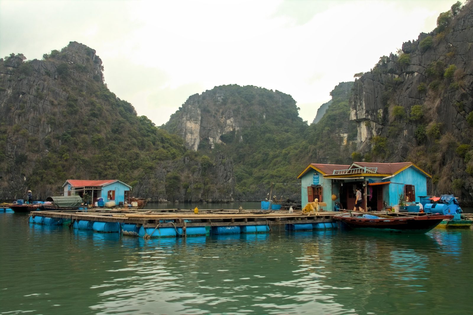 Floating fishing village seen on a Ha Long Bay cruise in Bai Tu Long Bay