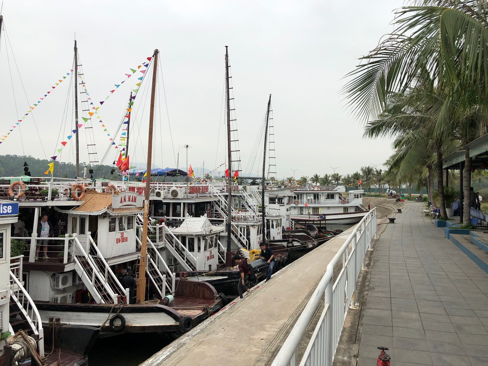 Tuan Chau marina, the main departure port for a Ha Long Bay cruise