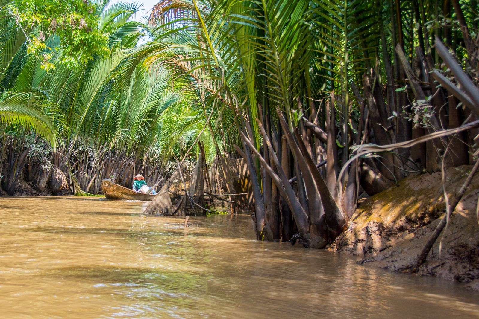Small boat in a water-coconut canal near My Tho