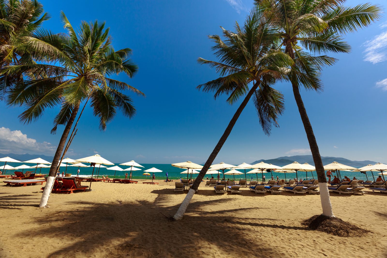 Vietnam in December, November, January or February: Where the Beach Weather Is Best Each Month 3 Palm trees and sun loungers on Nha Trang beach